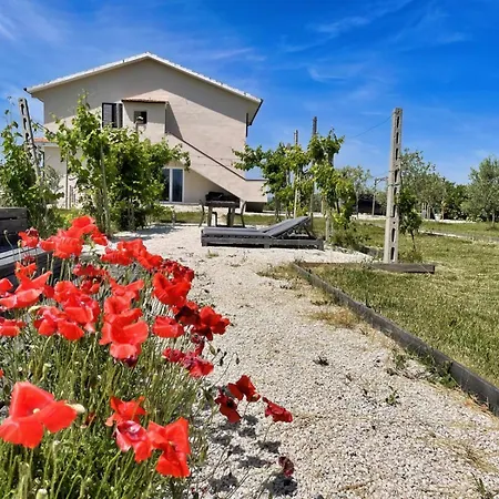 Pp11 - Potenza Picena, Nuovo Trilocale Con Piscina E Aria Condizionata Potenza Picena